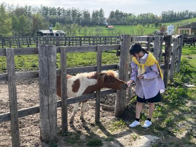 あれもしたいこれもしたいって物事がぶわーって広がってる頭の中で、どれを最優先にすればいいかをずっと考えているのですが、結局どれも最優先のラインに並んでるんですよね。何かが1歩下がればいいのに、ずっと同じところに並んでるから、最終的に選べないまま4日が過ぎた。にしても、○○過ぎたシリーズ多すぎるって。 - 画像8