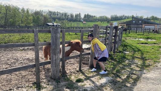 あれもしたいこれもしたいって物事がぶわーって広がってる頭の中で、どれを最優先にすればいいかをずっと考えているのですが、結局どれも最優先のラインに並んでるんですよね。何かが1歩下がればいいのに、ずっと同じところに並んでるから、最終的に選べないまま4日が過ぎた。にしても、○○過ぎたシリーズ多すぎるって。 - 画像9
