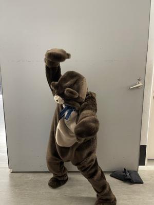 🐻or🐼 - 画像3