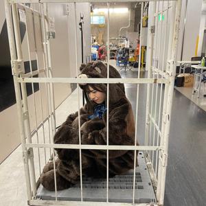 🐻or🐼 - 画像4