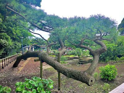 今日はバズリズム02さん🎸 - 画像3