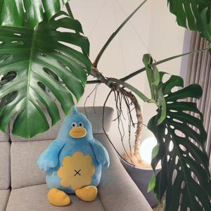 日向坂高校放送部、新コーナー始まります📻 - 画像3