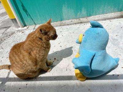 青空まだ？ - 画像9