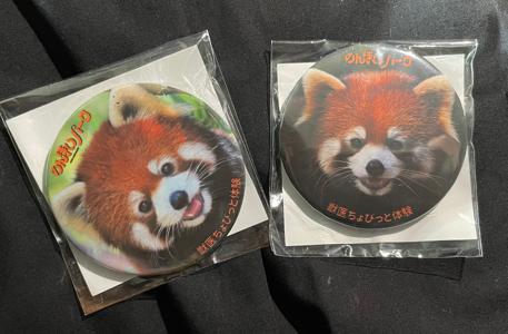 味噌かつ - 画像2