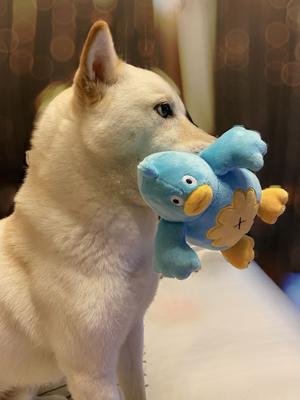 この子、置き場に困る - 画像7