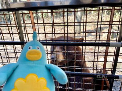 雨はにがて - 画像3