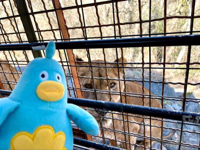 雨はにがて - 画像4