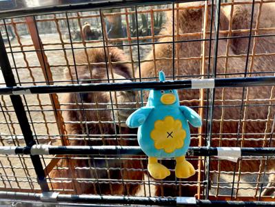 雨はにがて - 画像5