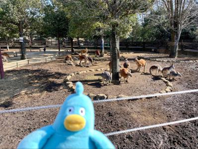 雨はにがて - 画像6