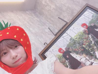 🎐 - 画像4