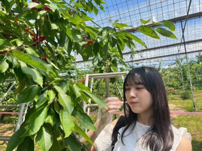 山梨県へお出かけ(*´`*) - 画像5