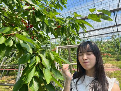 山梨県へお出かけ(*´`*) - 画像6