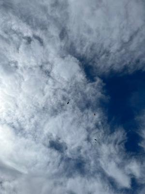 空を飛んだんだ✈️ - 画像5