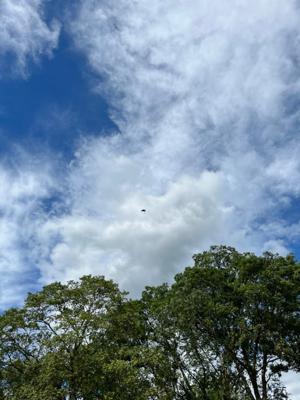 空を飛んだんだ✈️ - 画像6