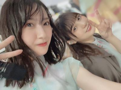 たたみの香り - 画像7