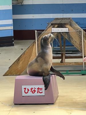 旅ブログ ※ブログタイトル募集中です - 画像3