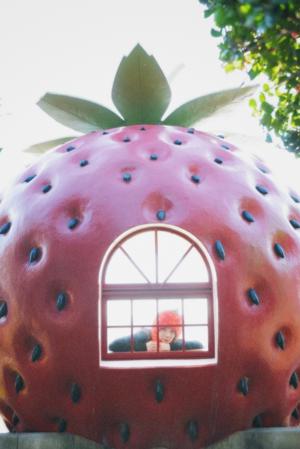 🍈 - 画像3