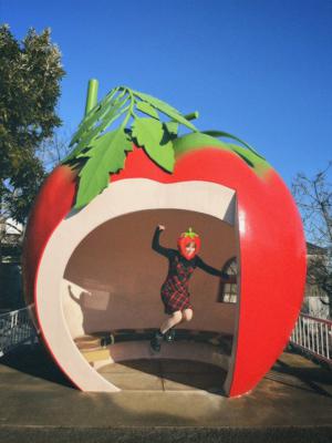 🍈 - 画像5
