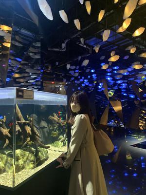 森本茉莉の旅ブログ🗺 - 画像8