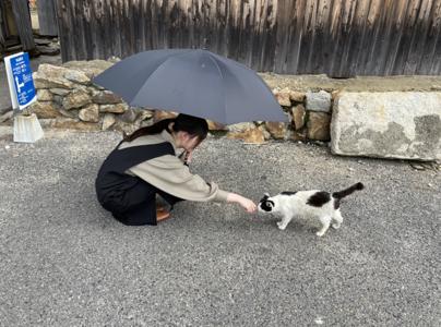 てんしのさんぽみち、ひとりでにあるくわたし、ふさがれてゆくすえうみのみち - 画像5