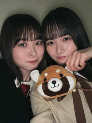 たぬきじゃないよ~ - 画像4