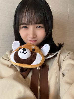 たぬきじゃないよ~ - 画像7