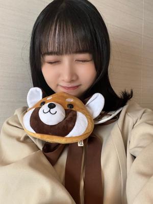 たぬきじゃないよ~ - 画像8