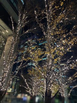 夜になるのが早くなってきて、何時になったら家の電気をつけようかと迷いに迷い、ギリギリを目指していたらいつの間にか真っ暗になってしまう。日に日に暗くなる時間が早まっていくから、もうお手上げの状態。いや、暗くてもお構いなしの私が悪いのか。 - 画像4