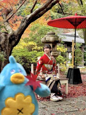 ソロ仕事おまちしてます - 画像3