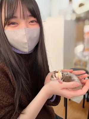 (_¨̮_)>≡本日21時からSHOWROOMします🎂 - 画像3