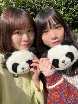 ひなさんぽ in 横浜 - 画像4