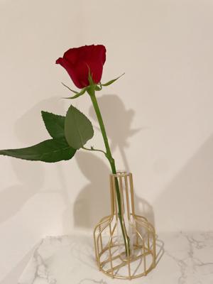 任務完了🌹