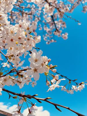 いつか起きる奇跡を信じて - 画像2