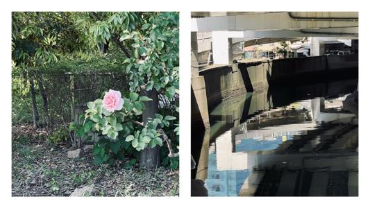 東京 - 画像8