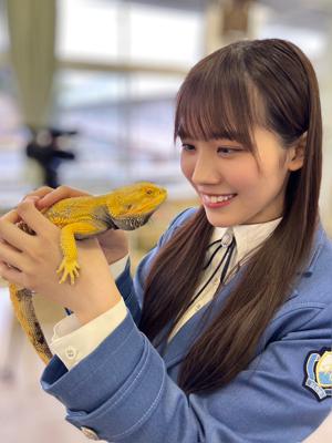 携帯ってなかなか変えられない。今月中に変えられたら褒めてください。 - 画像6