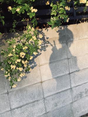 本日20時。ビックゲスト様とのラジオです。 - 画像6