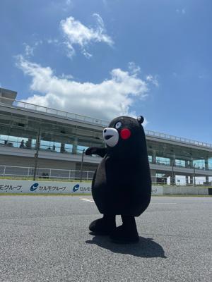 オートポリス、います！ - 画像3