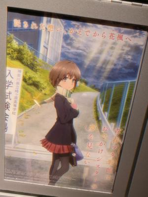 🎬 - 画像2