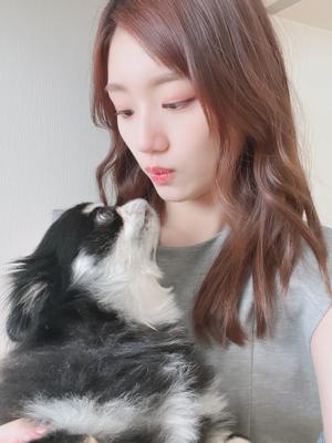 明日SHOWROOMやるよ〜🐶 - 画像2