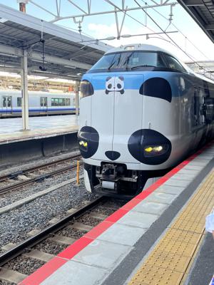 はるおでもはるをでもはるはるでもある山下葉留花 - 画像3