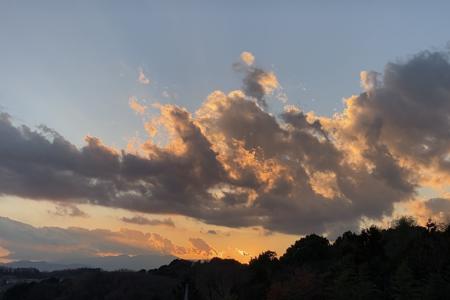 はろー2023少し長めのお年賀状🐇🌅 清水理央🔅 - 画像3