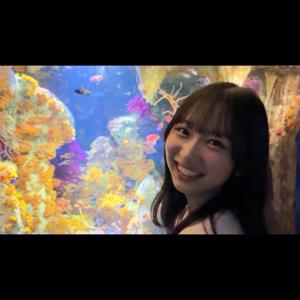 水族館デートなブログ 藤嶌果歩 - 画像3