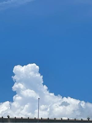 ここからがすたーと！ - 画像3