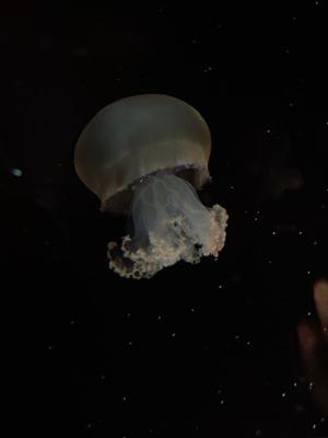 物持ちはいい方な正源司陽子 - 画像5