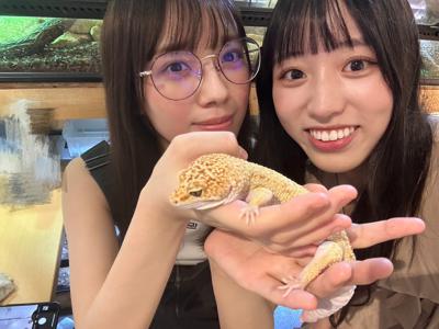 あまりの湿気に、外歩く時眼鏡が使いものにならない日々 - 画像5