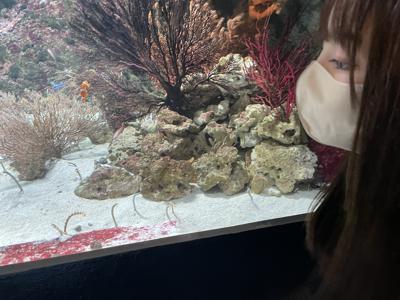 飴ちゃん食べる？ - 画像4