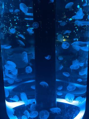 飴ちゃん食べる？ - 画像5