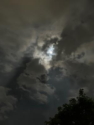 ( ¨̮ )>≡レインボー - 画像5