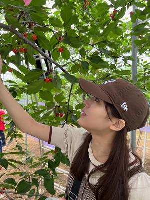 Super genius - 画像3