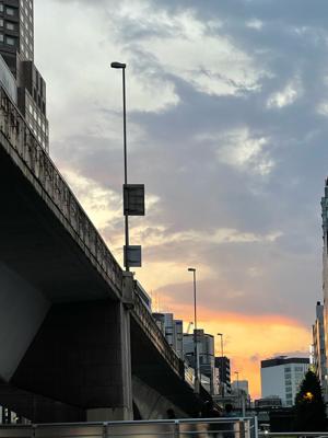 もうすぐ、はろうぃん！ - 画像15